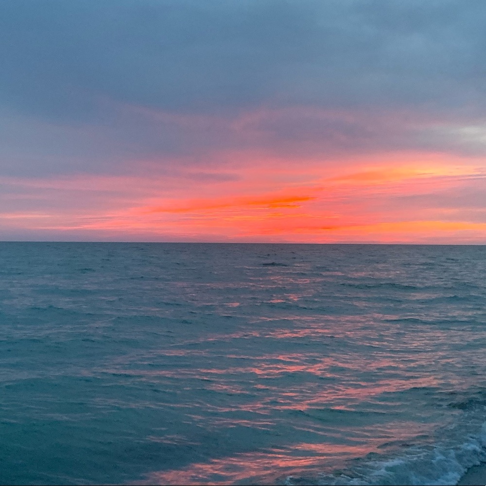 Meet your Posher, Carmen